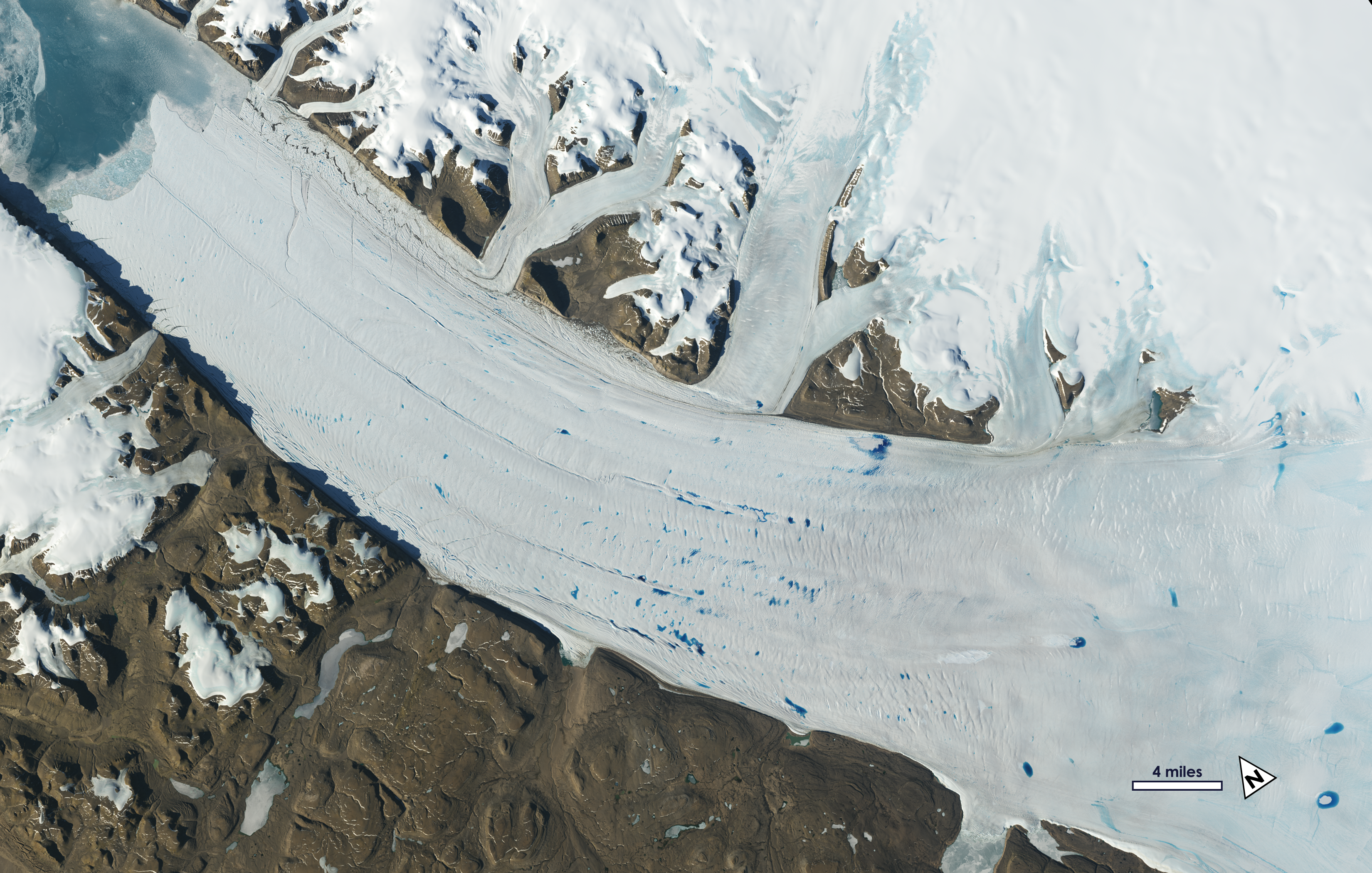 Meltwater lakes form on the surface of Greenland’s Petermann Glacier, seen here in a June 2019 Landsat image
